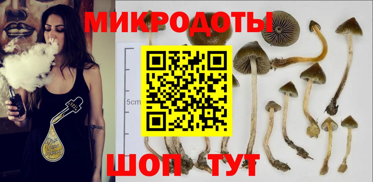 Партизанск  Псилоцибиновые грибы Cubensis  Вход с VPN  Псилоцибиновые грибы Magic Shrooms 