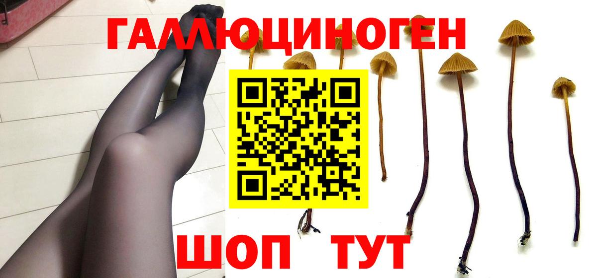 Галлюциногенные грибы GOLDEN TEACHER Партизанск